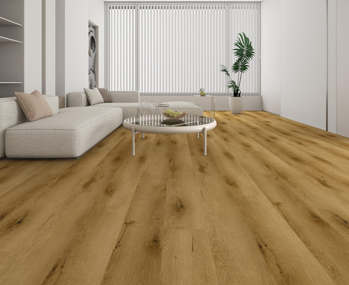 San Antonio in a room